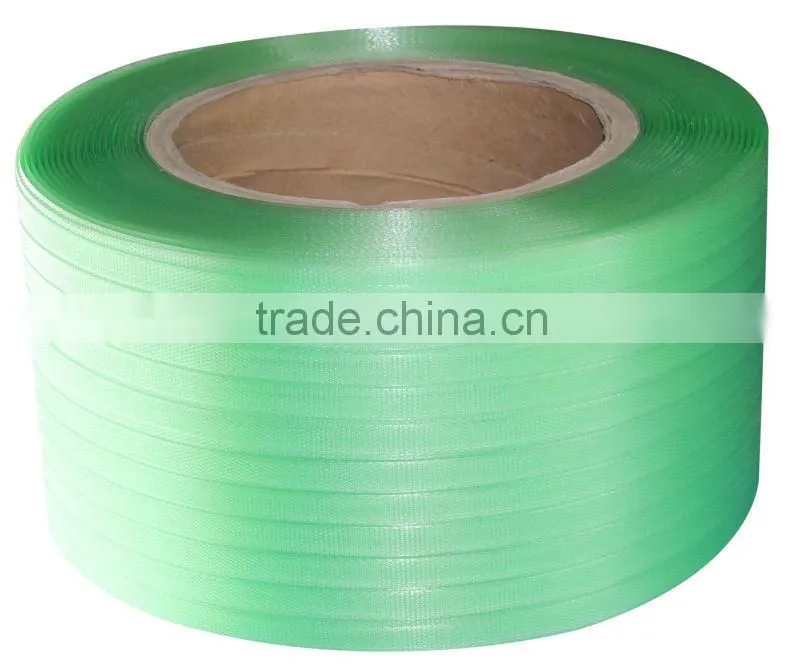Plastic strap clip