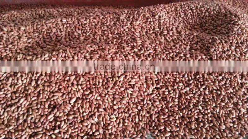 Roasted peanuts with skin, Roasted peanut kernels, Plain Roasted Peanut kernels.