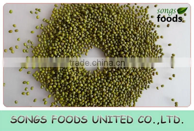Green Mung Beans In China