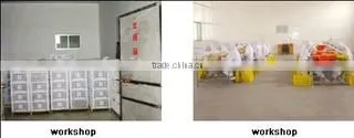 Longkou Taihe Foodstuff Factory company overview - view 2