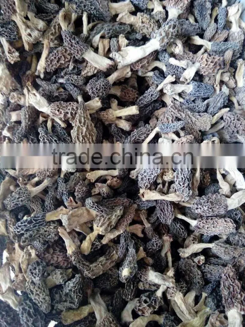 dried morel mushroom black fungus mushroom market prices for mushroom