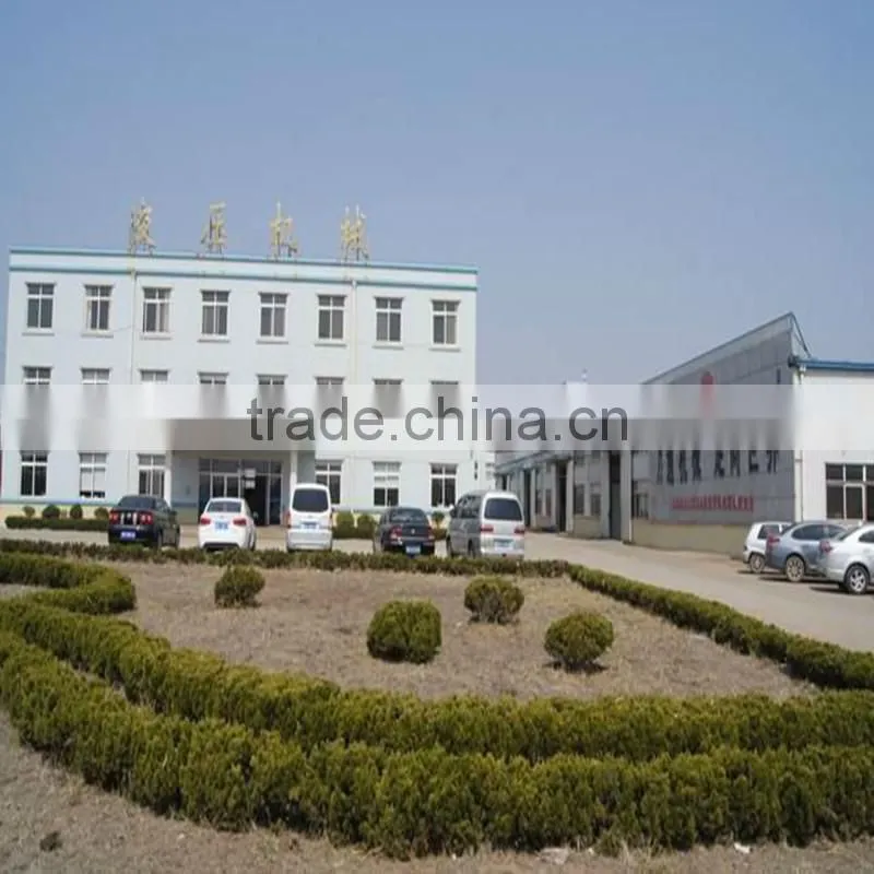 hydraulic cylinder for car lift and forklift