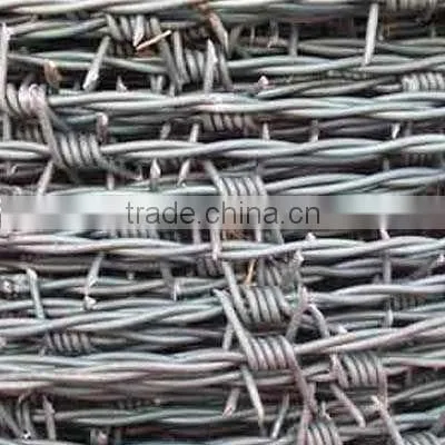 common iron nail