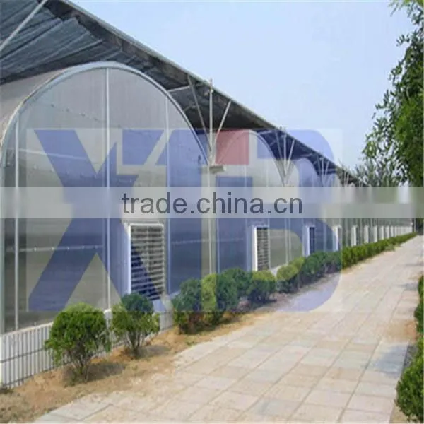 Glass Greenhouse for Agricultural