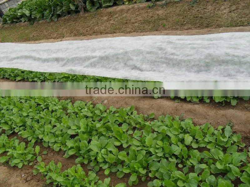 agricultural pp non woven fabric
