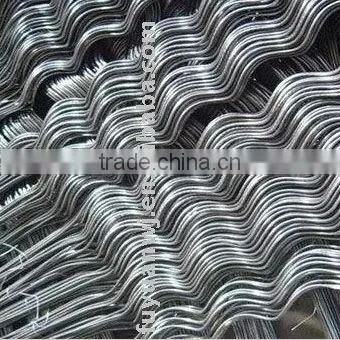 galvanized plant support-tomato spiral support (factory) in China