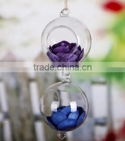 Glass Terrarium, Handblown Glass Terrarium, Air Plant Glass Terrarium
