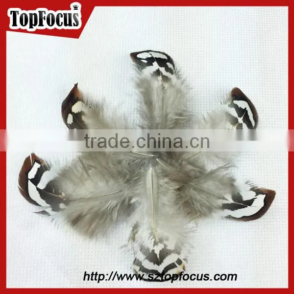 wholesale 6-10cm white loose artificial pheasant feathers for sale cheap