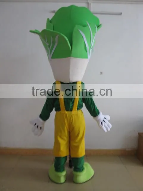 EVA plush material vegetable mascot costume vegetable mascot for adult