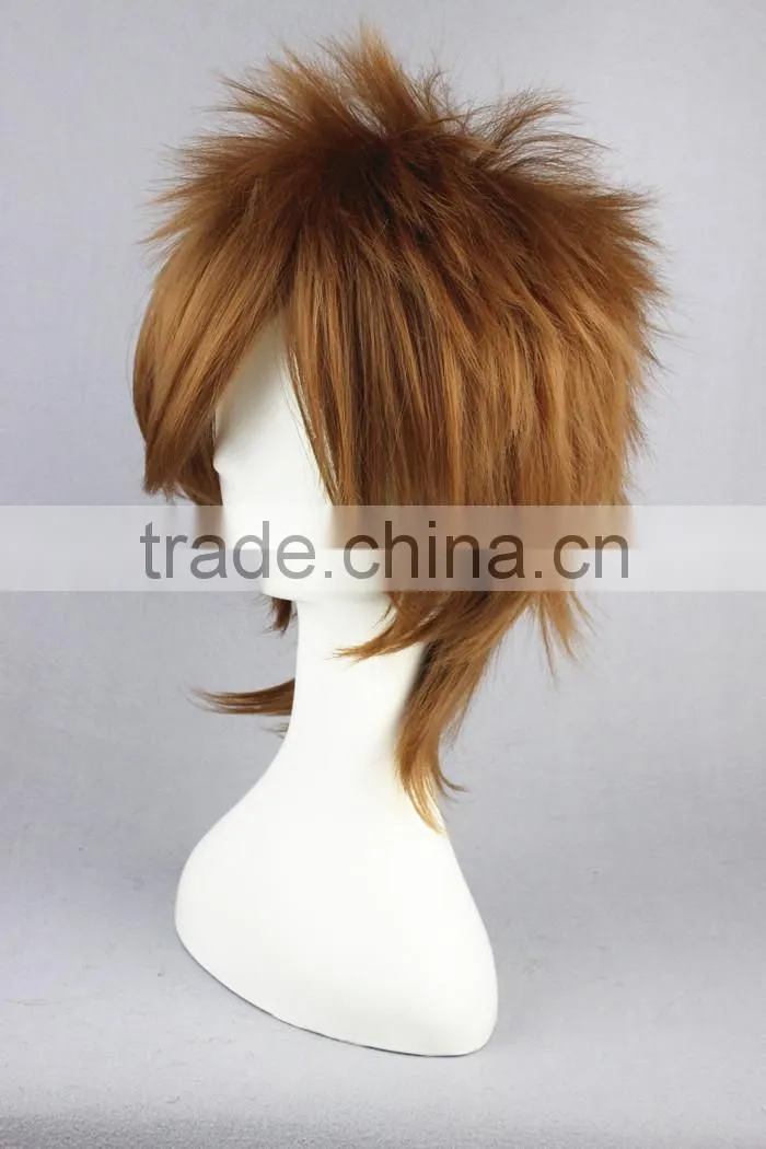 High Quality 35cm Short Straight Katekyo Hitman Reborn wig Sawada Tsunayoshi Brown wig Synthetic Anime Wig Cosplay Hair Wigs