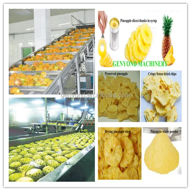 High Efficiency Canned Pineapple Processing Plant / Pineapple in Syrup Processing Line