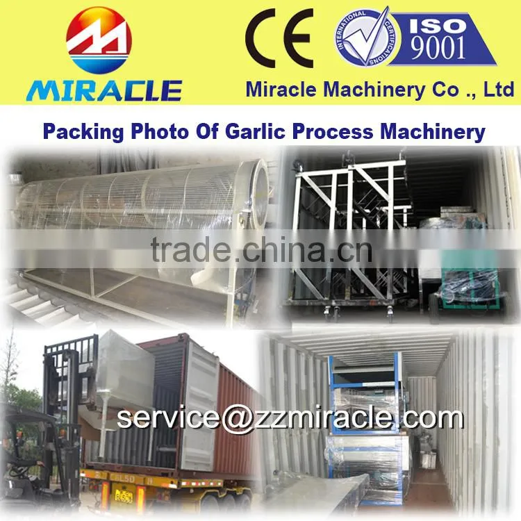 Low damage garlic cloves grading machine with lowest consumption to sort garlic by size