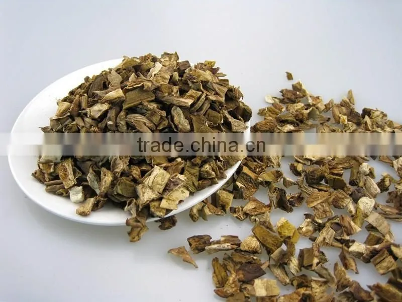 Fibrin Dried White FUNGUS MUSHROOM 2016
