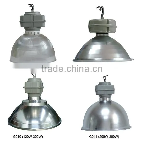 Induction grow light 300w ,energy saving induction lamp