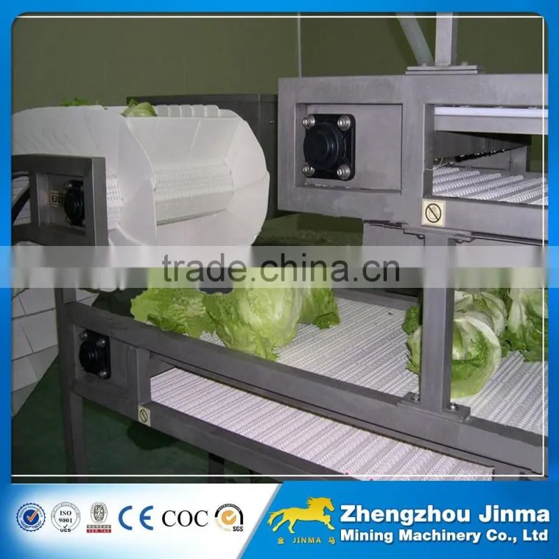 high quality fruit belt conveyor
