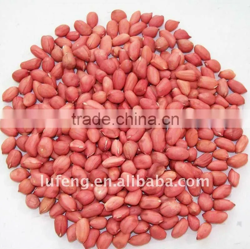 New crop coated peanut in shell