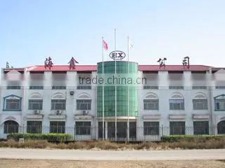 Cangzhou Haixin Pipe Fittings Manufacture Co., Ltd. company overview - view 2