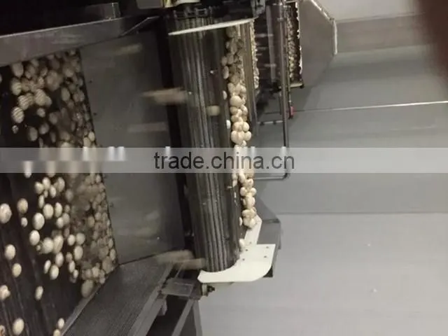IQF frozen button mushroom