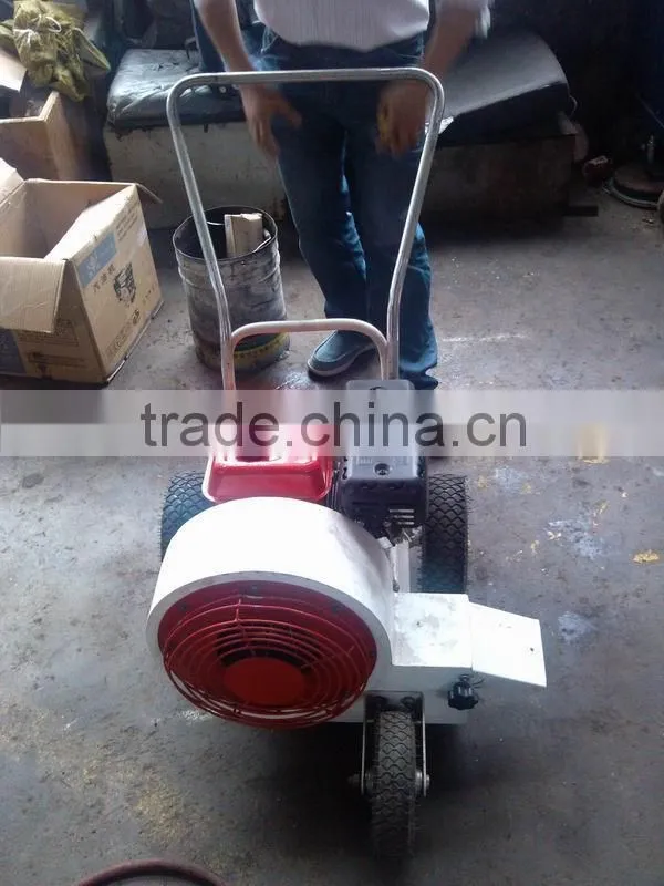 DCCF11 concrete leaf blower