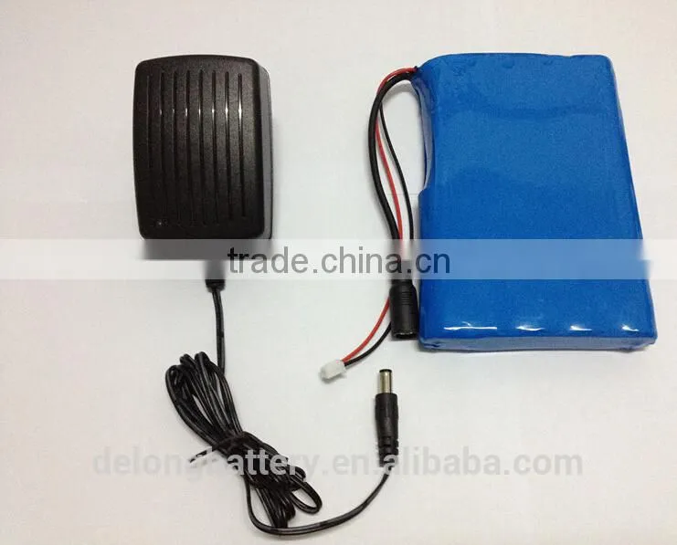 Customized 12v light weight battery packs factory price sprayer battery 12v 6.6ah battery pack