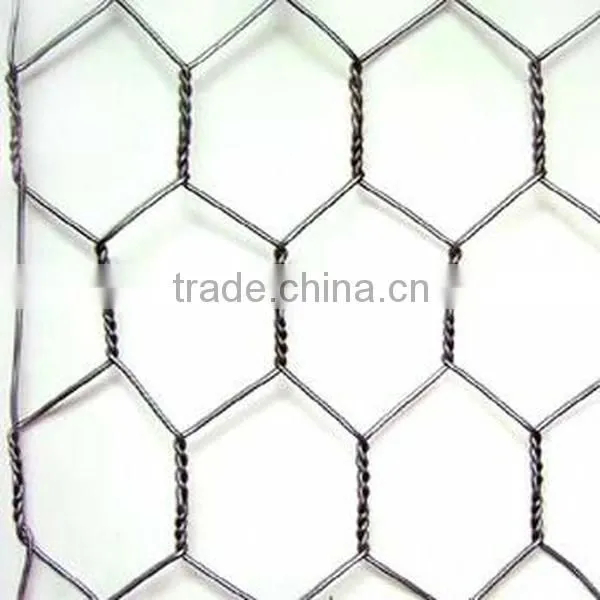 Chicken Wire Mesh/ Dog Cages