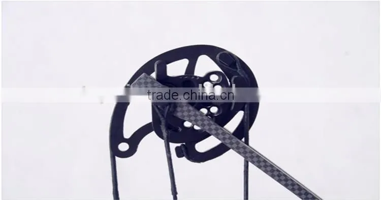 China Hot Sale Compound Bow M-10004 for Hunting