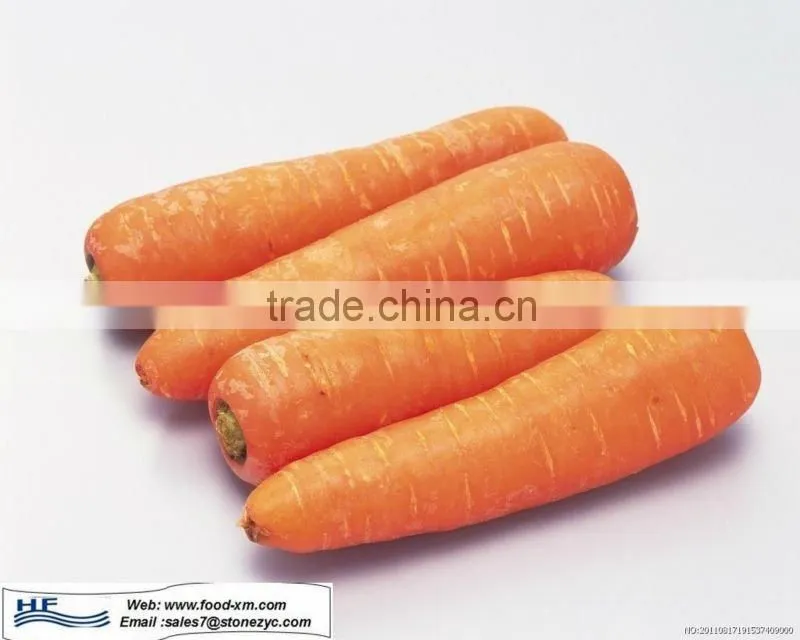 Frozen carrot vegetable