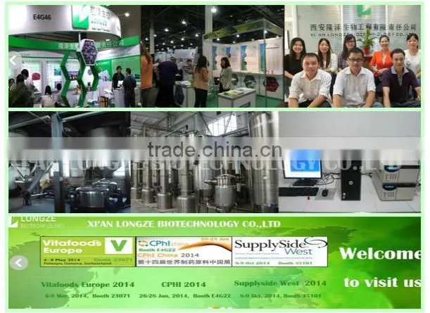 High-quality Green Tea Extract Camellia sinensis with Tea Polyphenols 98% and EGCG 80%