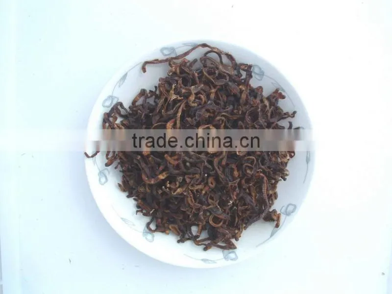 High Protein Sun dried earthworm