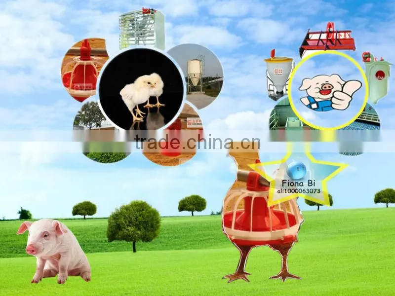 poultry automatic drinking system