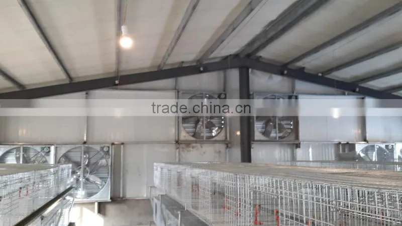 H- type 3 tiers hot -drip Galvanized layer chicken battery cage