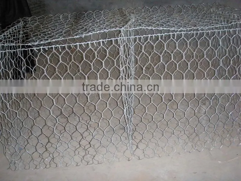 hexagonal wire mesh
