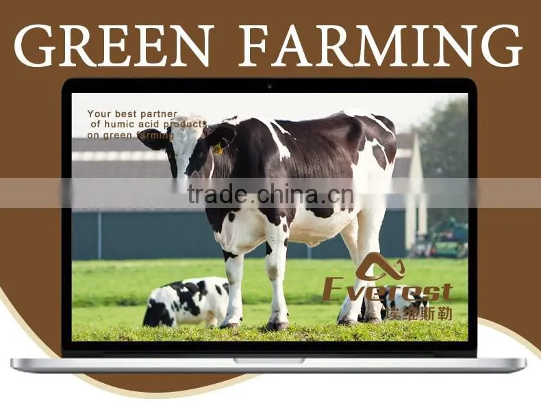 Factory Sale Price Soil organic fertilizer plant