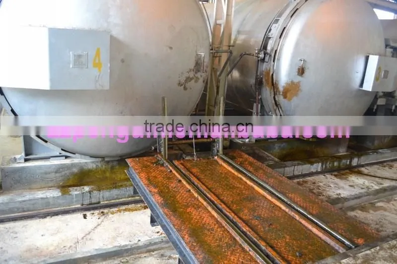 30tph palm fruit solvent oil extract machine