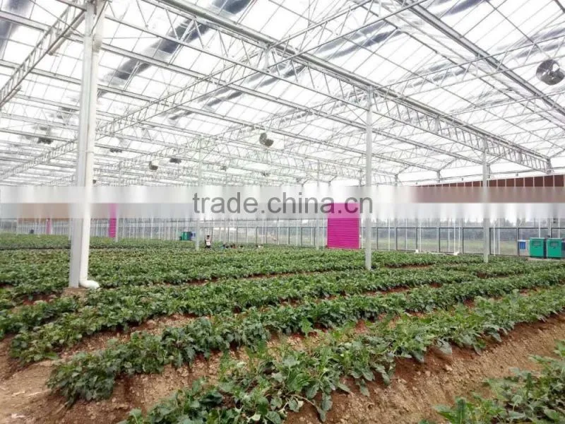 Eco-friendly circulating water pad and fan greenhouse cooling systems