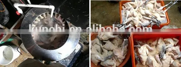 Popular exported electric chicken feather removing machine with CE approved