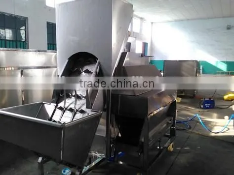onion processing plants,commercial onion peeler with cut tuber machine