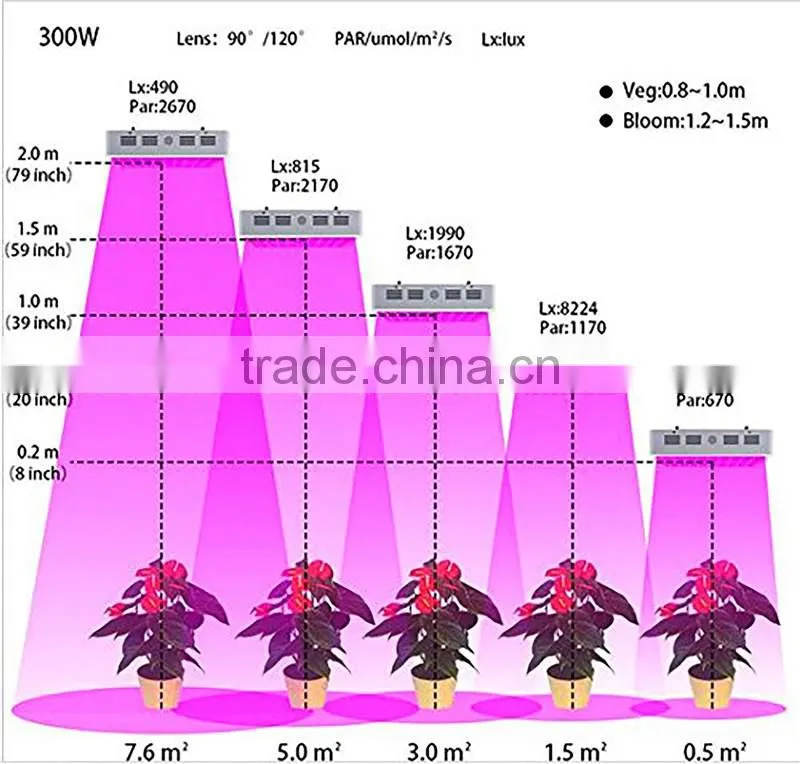 High Power 100X3W LED Grow Lights for hydroponic plants