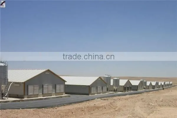 Industrial steel structure design poultry farm shed chicken house for layers