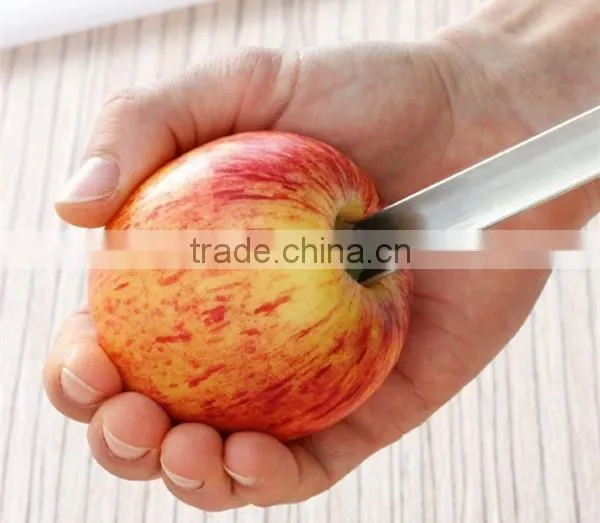 DG-0111 Stainless Steel Apple Corer