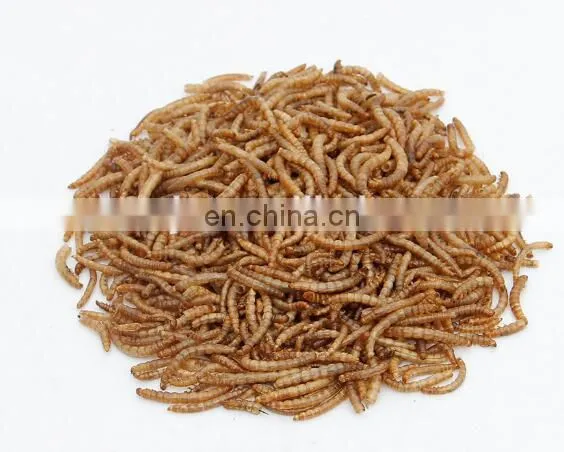 Multifunctional Mealworms Machine to Separate /Small Worm Tenebrio molitor Selecting Machine