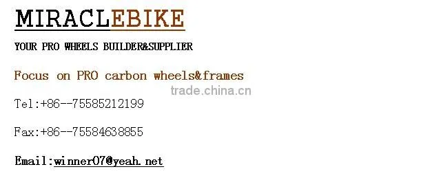 15x100 thru axle carbon fork full carbon 29er mountain mtb bicycle fork AO009-T