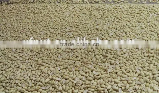 best selling products remove peanut skin raw peanuts without shell blanched peanut