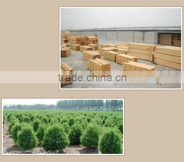 High quality Pine wooden wine box for sale