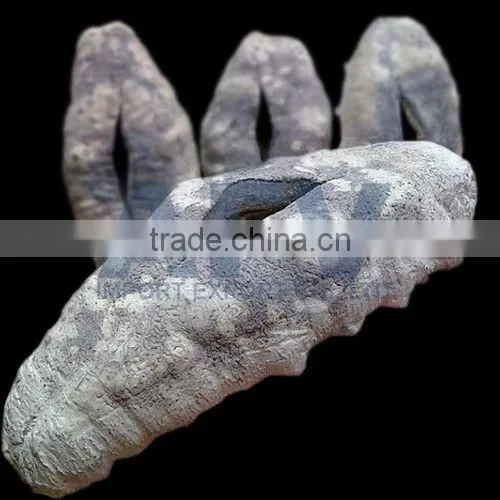 Dried Sea Cucumber, White Teat Fish, Holothuria Fuscogilva