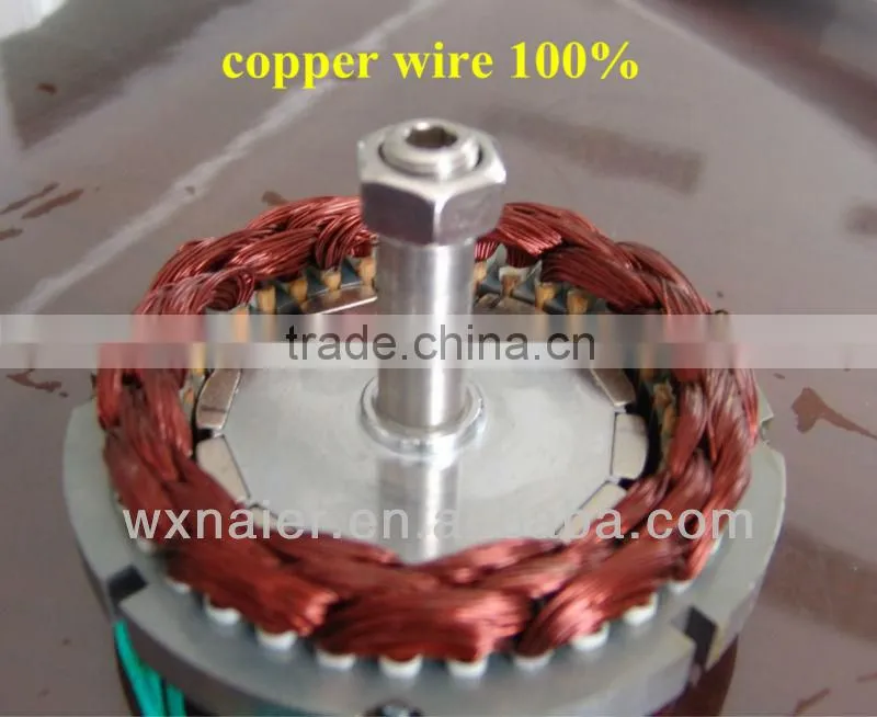 low rpm 300w 12v/24v dc generator PMG