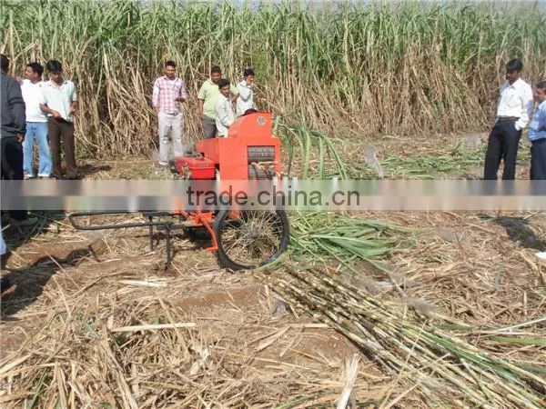 6BZ-5 sugarcane top removing machine/sugarcane leaf removing machine for sale