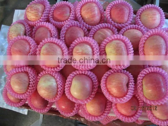 Mesh Tapered Sleeve Net
