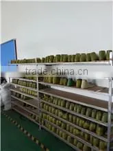 Shenzhen Rasha Skates Technology Company Limited company overview - view 2