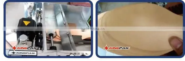 Carton Hot Stamping Batch Date Coding Machine